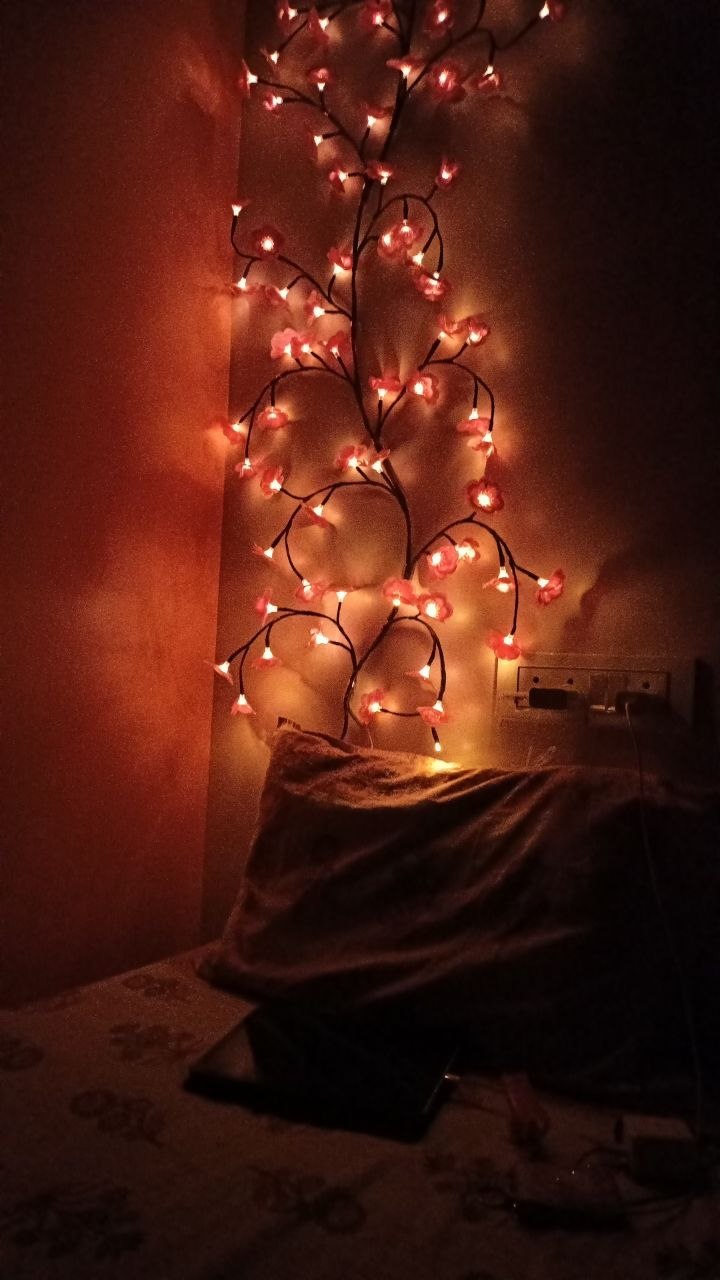 Pink cherry-blossom fairy lights against a wall